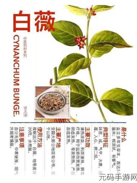 校园绑定jy收集系统白薇:1. 校园智慧收集系统:白薇的创新实践