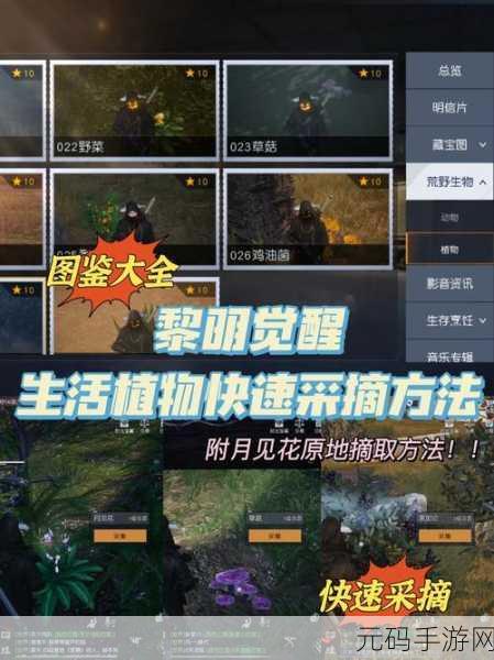 黎明觉醒必备！战术耗材制作秘籍大公开