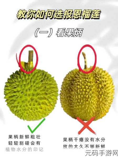 日产乱码榴莲:1. 日产榴莲:探索美味与丰收的秘密