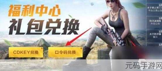 探秘和平精英,兑换码与角色创建的完美攻略