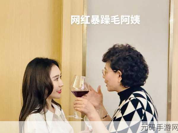 暴躁老阿姨情侣名：当然可以！以下是一些根据“暴躁老阿姨”情侣名拓展出的新
