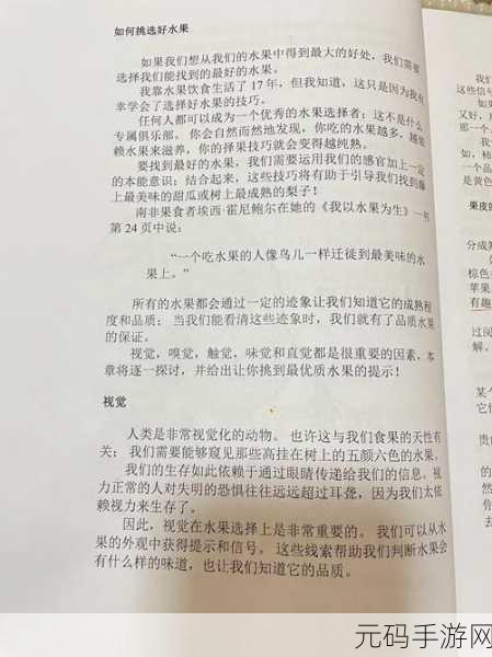 天堂vs中文:1. 天堂之路:探寻心灵的归宿