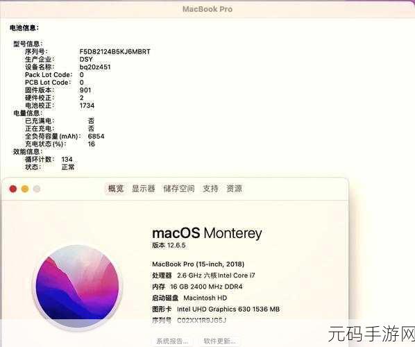 18-19 macbook pro 的屏幕:探索18-19款MacBook Pro的屏幕扩展功能与应用场景