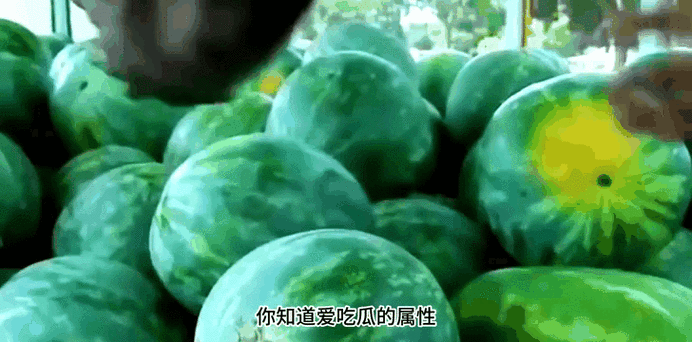 51吃瓜群众往期回顾：1. “51吃瓜群众：探秘那些你不知道的社会热点”