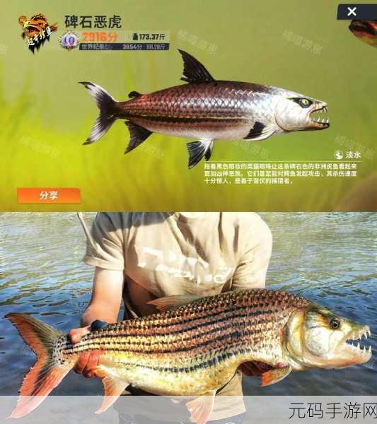欢乐钓鱼大师,钓取真彩虹的终极秘籍