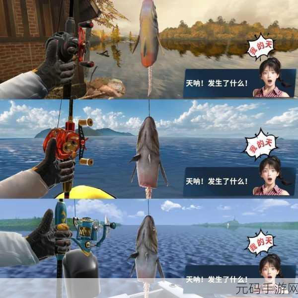 欢乐钓鱼大师,钓取真彩虹的终极秘籍