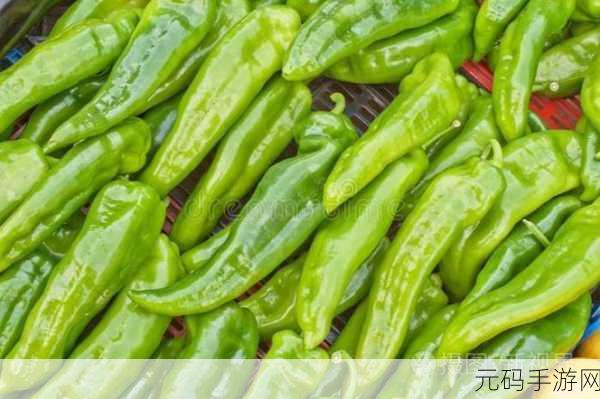 青椒影视：1. 青椒影视：探索新视界的奇幻之旅