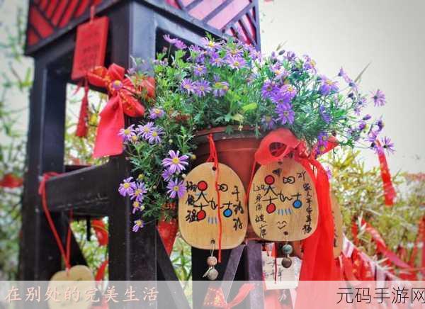 无法满足,电影:1. 无法满足的心愿:追逐完美生活的旅程