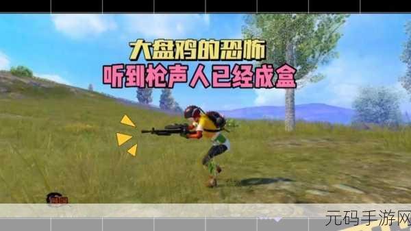 和平精英大盘鸡刷新地点全揭秘,玩家必知的战略高地