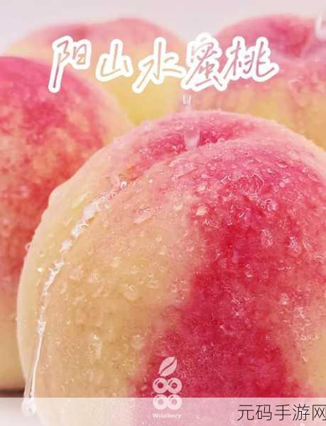 aj38水蜜桃:1. "AJ38水蜜桃:夏日清凉的甜蜜选择