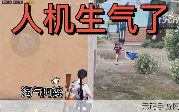 和平精英小黄脸背包,入手价值全解析