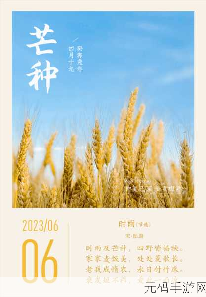 桃源深处有人家黄梅芒种活动全攻略,解锁田园新乐趣