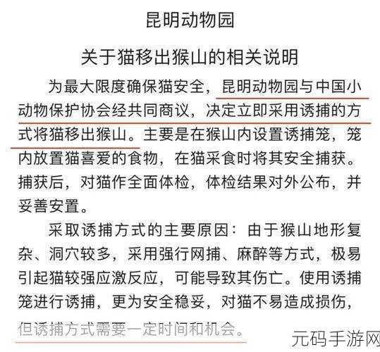 二人生猴子全程不盖被子黄：1. 二人生猴子的奇妙旅程：不被遮盖的温暖