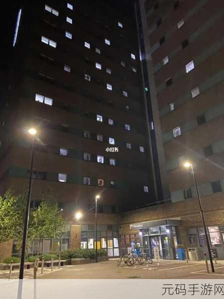 18款夜间禁用网页入口:1. 夜间禁用网页入口:保障用户健康的创新措施