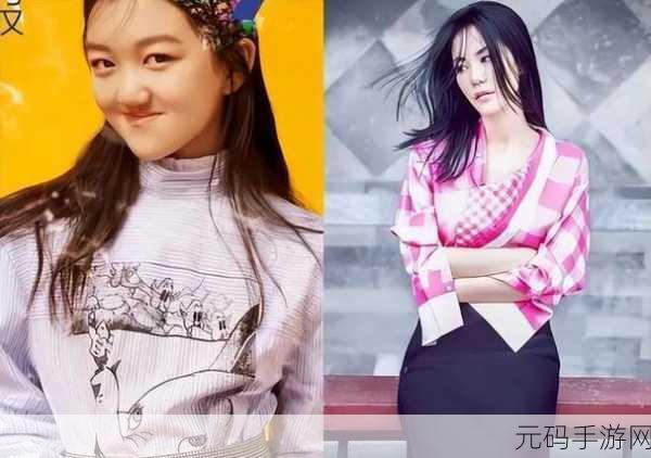 王菲宣布产女:王菲喜迎女儿降生,幸福家庭再添新成员