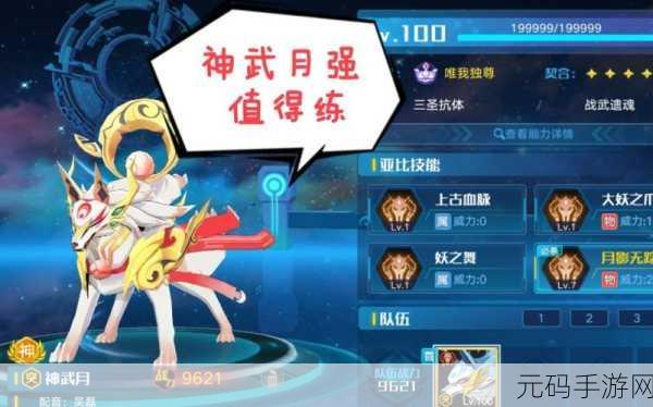 奥拉星手游神武月装备搭配指南,打造最强战斗体验