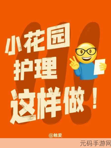 亲小花园的10个技巧:1. 小花园养护必备:10个实用技巧大揭秘