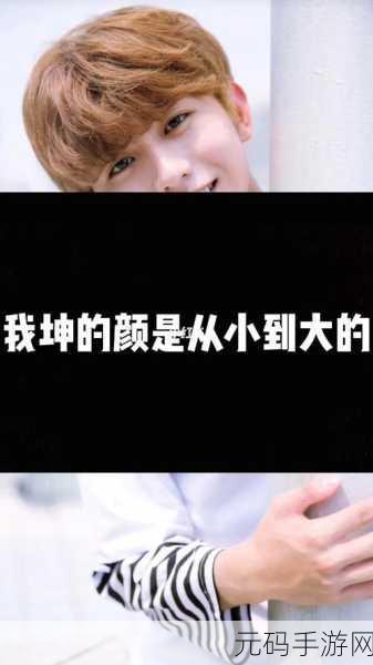 坤坤插入桃桃:1. 坤坤与桃桃的甜蜜冒险之旅