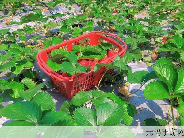 草莓视频破解版中文字幕:1. 破解草莓视频,畅享无限中文字幕乐趣