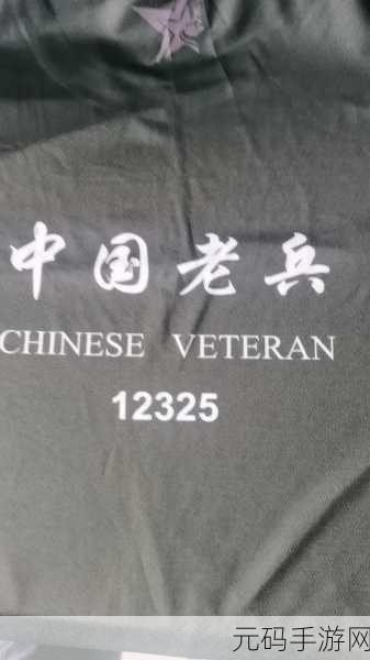 近期老兵召回:1. 老兵召回新政策:重新定义服役者的角色