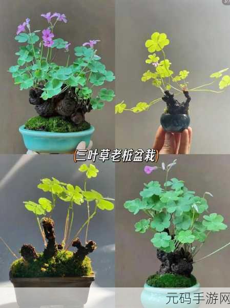 三叶草gw3443：1. 三叶草GW3443：探索未来绿色科技的发展趋势