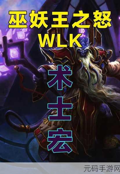 巫妖王之怒惩戒一键宏:巫妖王之怒:惩戒骑士一键宏全解析与实战技巧