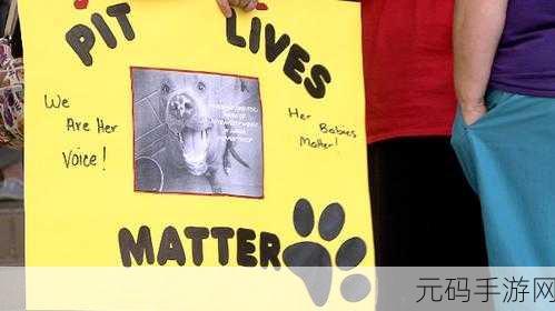 reanimal什么时候上线:以下是关于Reanimal上线时间的10个字以上标题建议: