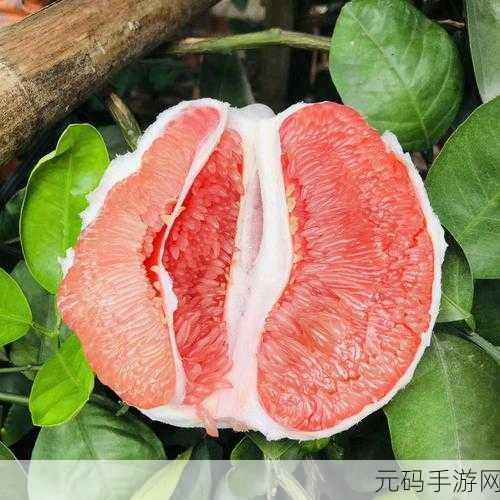 蜜柚色板视频:1. "蜜柚色调:让你的生活充满甜美色彩