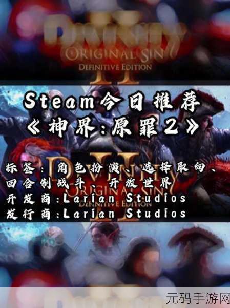 神界原罪2销量:《神界原罪2》成功启示:探索RPG游戏市场的无限可能性