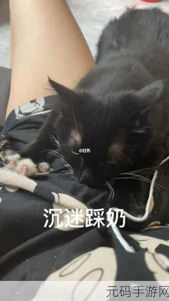 坤坤寒进桃子里嗟嗟嗟视频小说:1. 《坤坤寒进桃子里的秘密与冒险