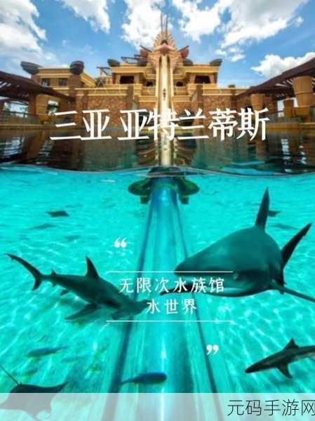 锕锕锕锕锕锕锕好多水软件:1. 锕锕锕锕锕锕:畅享无限水世界的乐趣