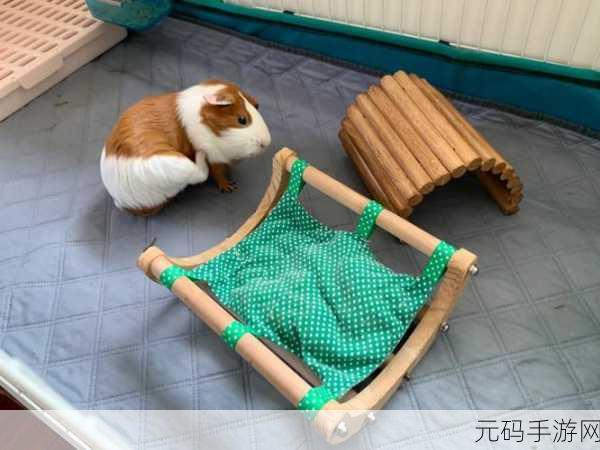 zooskool人猪:好的,以下是一些基于“zooskool人猪”的新标题建议,每个标题都不少于10个字: