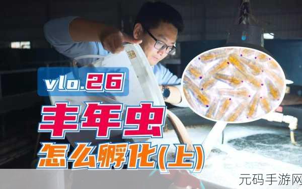 丰年经继拇最简单处理:当然可以!以下是基于“丰年经继拇”主题扩展出的新标题,均不少于10个字:
