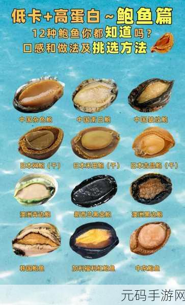 鲍鱼直播:1. 鮑魚直播:探索海鮮美味的全新世界