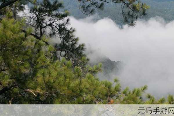 大地资源中文在线观看免费版:1. 大地资源探索之旅:发现自然的奥秘