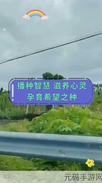 需要妈妈播种：1. 妈妈播种的智慧：如何在生活中培养希望与成长