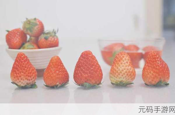 草莓 APP:1. 草莓APP:让生活更美好的智能助手