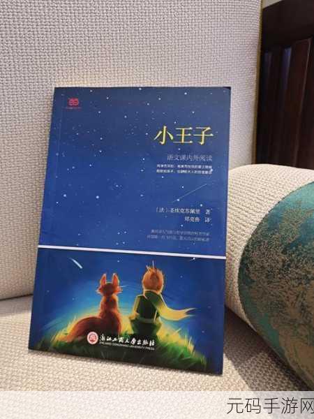 小王子的星球中文版震撼发布，探索深意与内涵的奇幻之旅