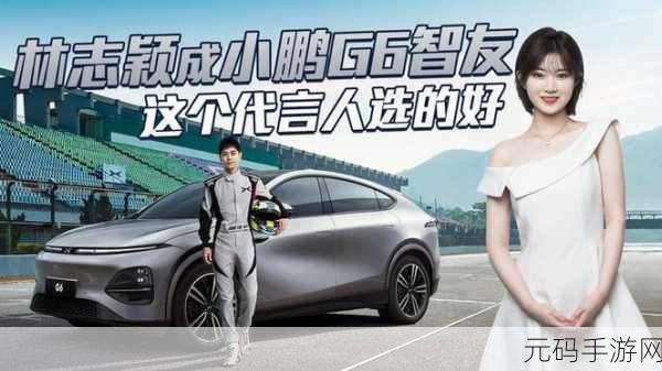 林志颖代言小鹏开特斯拉:林志颖代言小鹏电动车,挑战特斯拉市场新篇章