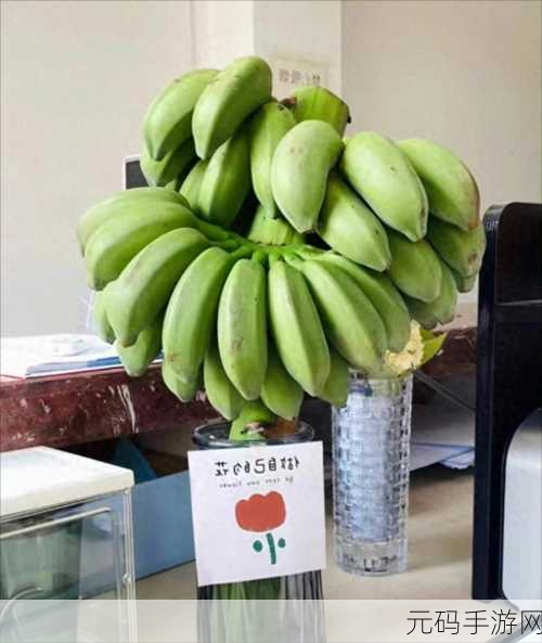 苏州香蕉视频:1. 苏州香蕉视频:探索短视频的新潮流与魅力