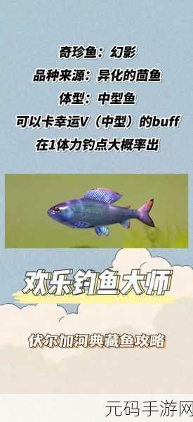 欢乐钓鱼大师手游震撼发布,真实海钓模拟,尽享垂钓乐趣