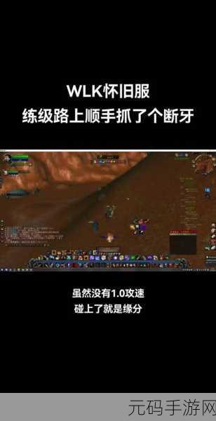 魔兽世界怀旧服射击猎人宏:魔兽世界怀旧服:射击猎人全方位宏设定指南