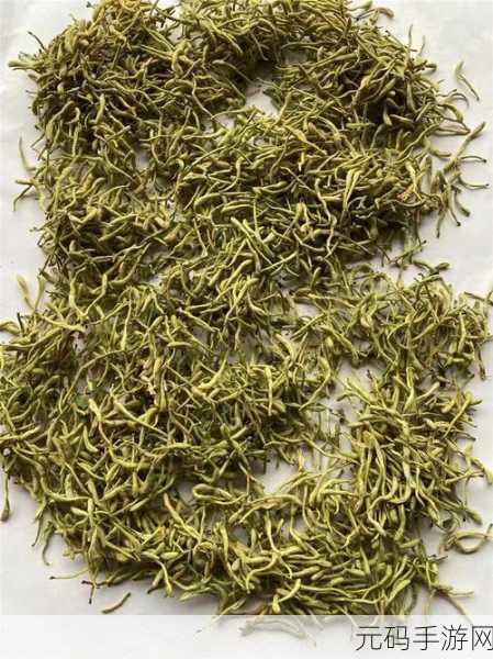 银色器物TXL金银花：1. 银色器物TXL：金银花的魅力与传承