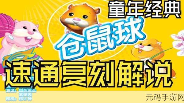 仓鼠球游戏全新版本震撼发布,萌宠仓鼠带你闯过重重难关