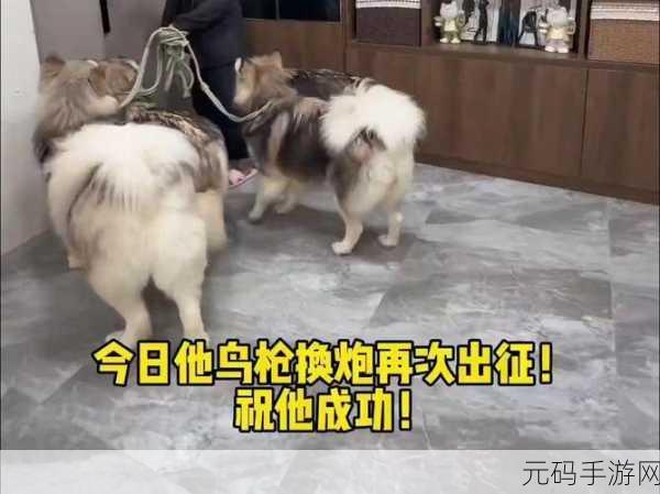我的老公是只狗一郎:1. 《我老公居然是一只名叫狗一郎的宠物犬