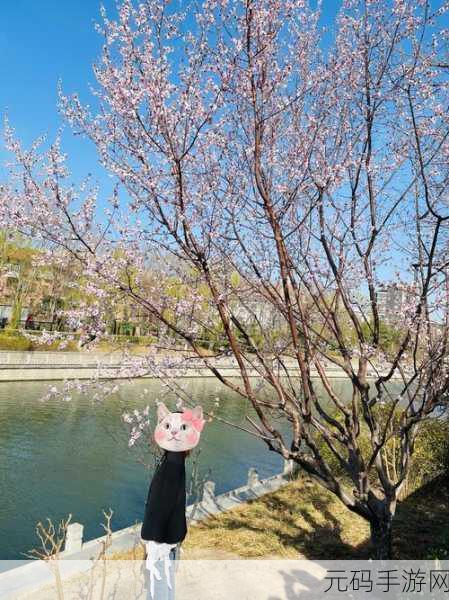 桃花洞口已是溪水潺潺是什么意思:1. 桃花洞口溪水潺潺,春意盎然的自然美景