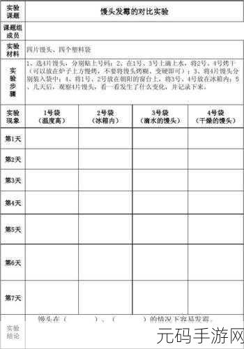不小心看到六年级的馒头:从六年级的馒头谈起:生活中的小细节与大智慧