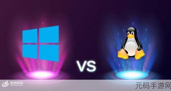 高清vpswindows另类:1. 高清VPS Windows:探索虚拟化技术的新境界