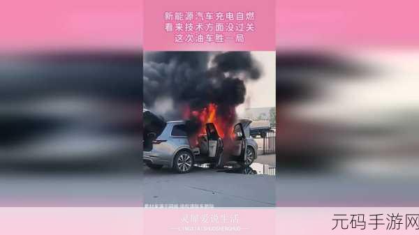 免费国精产品一二二三：1. 免费国精产品让您体验品质生活的无限可能