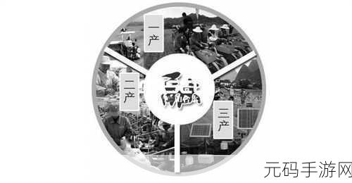 999精产国品一二三产:1. 999精产国品:一二三产业协同发展新模式